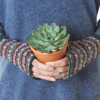 Fair Isle wristwarmers British wool Fir green Marilyn Moore