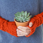 Cashmere cable wrist warmers Orange Marilyn Moore